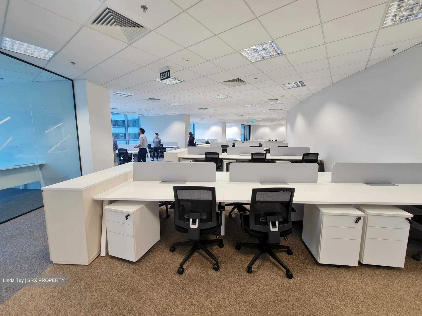 PLUS (D1), Office #489995091